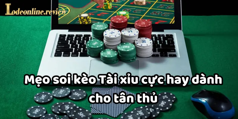 Mẹo soi kèo Tài xỉu cực hay dành cho tân thủ