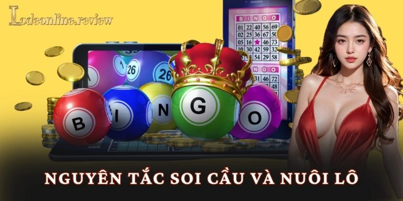 Nguyên tắc soi cầu và nuôi lô