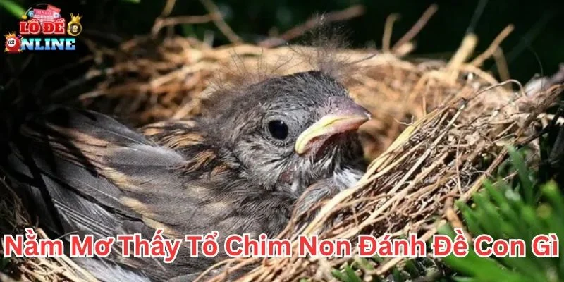 Luận số khi nằm mơ thấy tổ chim non đánh đề con gì