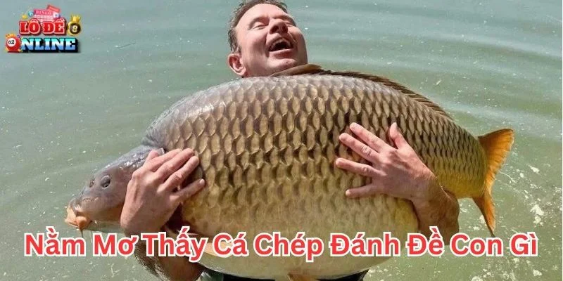 Nằm mơ thấy cá chép đánh đề con gì và dấu hiệu đổi vận
