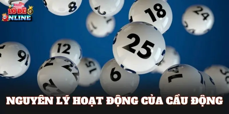 Nguyên lý hoạt động của cầu động