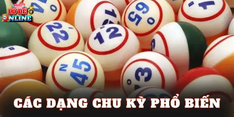 Các dạng chu kỳ phổ biến