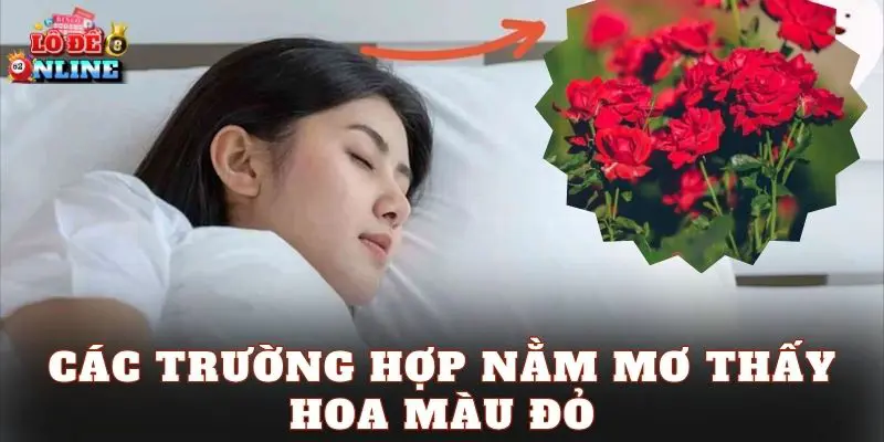 Các trường hợp nằm mơ thấy hoa màu đỏ
