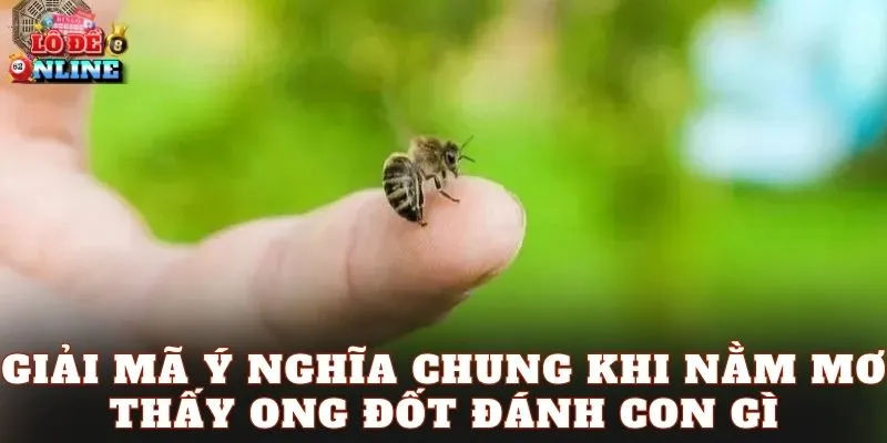 Giải mã ý nghĩa chung khi nằm mơ thấy ong đốt đánh con gì