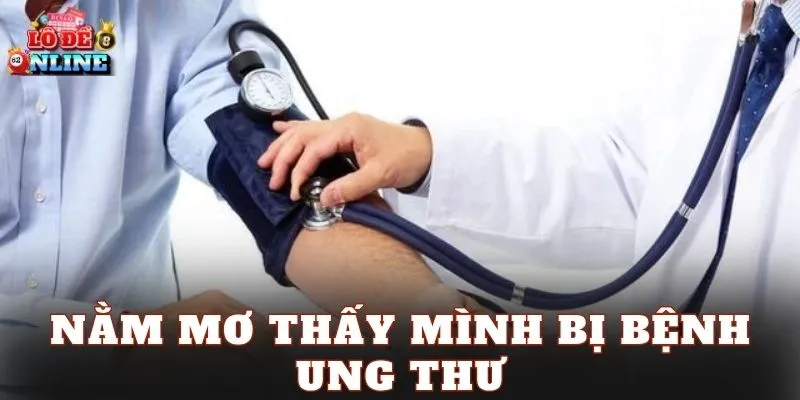 Kinh nghiệm từ người chơi thực tế
