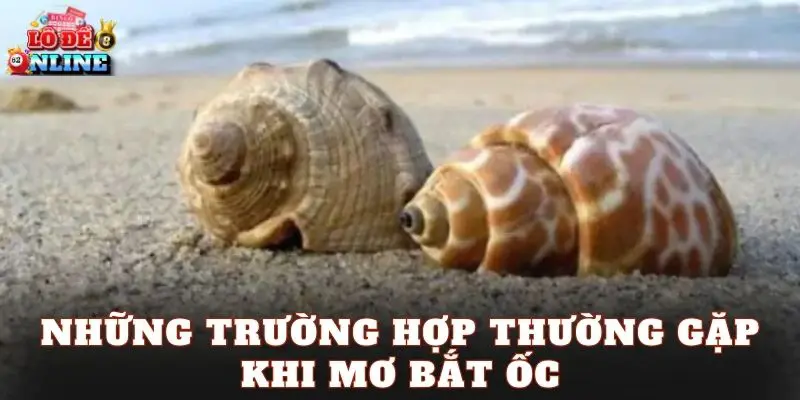Những trường hợp thường gặp khi mơ bắt ốc
