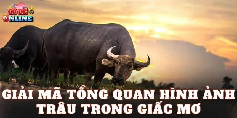 Giải mã tổng quan hình ảnh trâu trong giấc mơ
