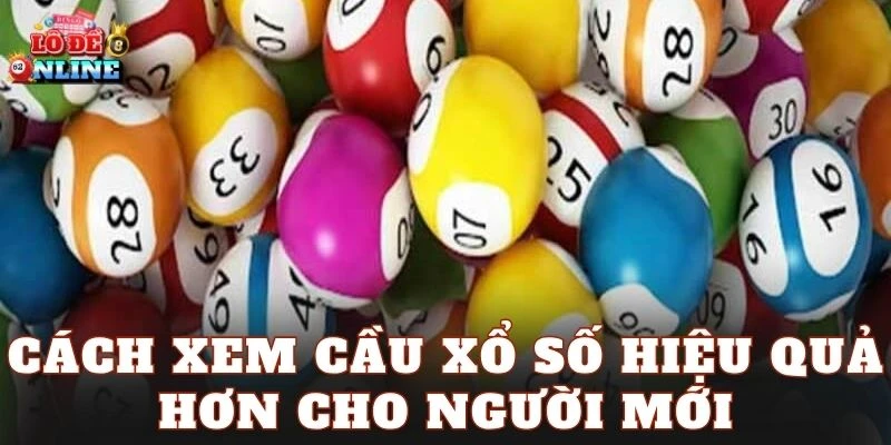 Cách xem cầu xổ số hiệu quả hơn cho người mới